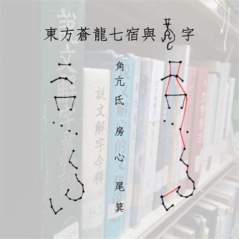 龍是象形字嗎|你真的知道「龍」是什麼動物嗎？從古文字中一窺「龍」上天入海。